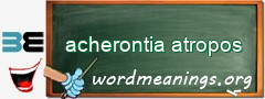 WordMeaning blackboard for acherontia atropos